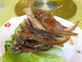 Foto, materiell, befreit, Landschaft, Bild, hat Foto auf Lager,Fisch richtet an, Fisch, Knochen, Gebackenes in Fett Essen, Chinesisches Essen