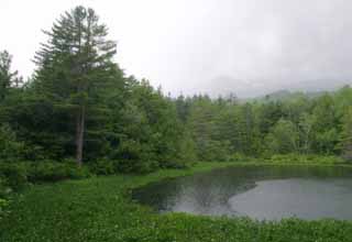 Foto, materiell, befreit, Landschaft, Bild, hat Foto auf Lager,Ushidome-Teich, Berg, Wolke, Teich, Hain