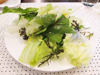 , , , , ,  .,Salad, lettuce, Seaweed, , Salad