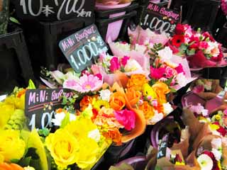 photo, la matire, libre, amnage, dcrivez, photo de la rserve,Un magasin de la fleur, bouquet, fleur, , 