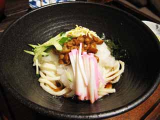 ,,, ,,,udon  ., ., ., , 