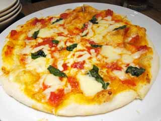 ,,, ,,, Margherita, ., ., , 