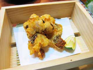 ,,, ,,,Tempura., ., ., , 