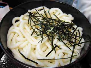 ,,, ,,,Udon., ., ., , 