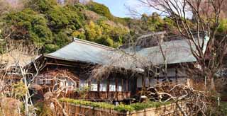 fotografia, material, livra, ajardine, imagine, proveja fotografia,Zuisen-ji Templo estudo, Chaitya, Zen Budismo-como jardim, Kamakura, Literatura dos cinco templos de Zen