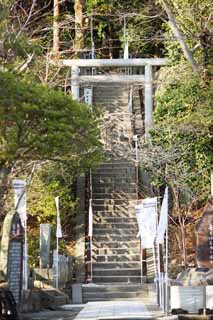 fotografia, material, livra, ajardine, imagine, proveja fotografia,A sepultura de Yoritomo Minamoto, sepultura, sobressaia para o repouso de almas, Kamakura, caia de um cavalo