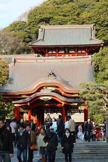 fotografia, materiale, libero il panorama, dipinga, fotografia di scorta,Hachiman-gu il Sacrario, Kamakura, Sacrario di Hachiman, Preghiera, 