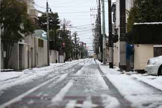 fotografia, material, livra, ajardine, imagine, proveja fotografia,Um modo nevado, estrada, poste de telefone, , 