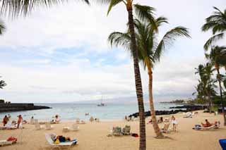 photo, la matire, libre, amnage, dcrivez, photo de la rserve,Une plage prive, plage sablonneuse, palmier, , yacht