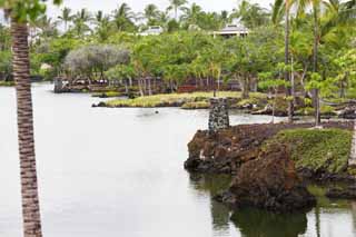 , , , , ,  .,Maunalani  , , , , Fishery