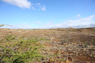 Foto, materieel, vrij, landschap, schilderstuk, bevoorraden foto,De aarde van de lava, Groen, Brown, Lava, Blauwe lucht