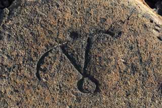 ,,, ,,,Petroglyph Puako., .,  ., Petroglyph., - kii kaha.