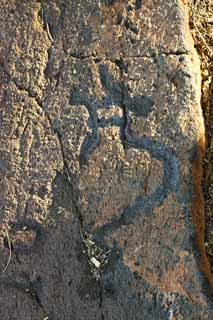 ,,, ,,,Petroglyph Puako., .,  ., Petroglyph., - kii kaha.