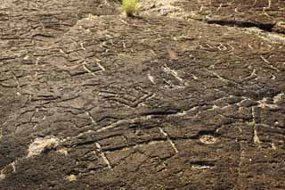 Foto, materieel, vrij, landschap, schilderstuk, bevoorraden foto,Puako Petroglyph, Lava, Sluit kunst, Petroglyph, Kaha-kii