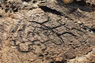 Foto, materieel, vrij, landschap, schilderstuk, bevoorraden foto,Puako Petroglyph, Lava, Sluit kunst, Petroglyph, Kaha-kii