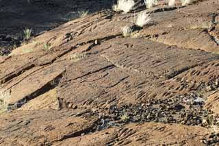 Foto, materieel, vrij, landschap, schilderstuk, bevoorraden foto,Puako Petroglyph, Lava, Sluit kunst, Petroglyph, Kaha-kii