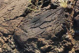 Foto, materieel, vrij, landschap, schilderstuk, bevoorraden foto,Puako Petroglyph, Lava, Sluit kunst, Petroglyph, Kaha-kii