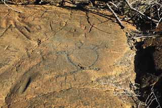 photo, la matire, libre, amnage, dcrivez, photo de la rserve,Puako Petroglyph, Lave, Fermez  cl l'art, Petroglyph, kaha-kii