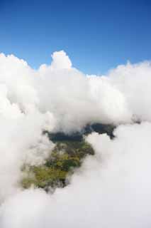 foto,tela,gratis,paisaje,fotografa,idea,Aerofotografa de Hawaii, Nube, Bosque, Llanura cubierta de hierba, 