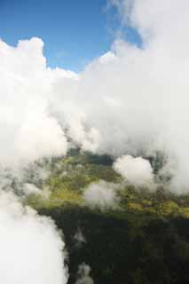 photo,material,free,landscape,picture,stock photo,Creative Commons,Hawaii Island aerial photography, cloud, forest, grassy plain, 