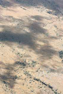 photo,material,free,landscape,picture,stock photo,Creative Commons,Hawaii Island aerial photography, Lava, dead tree, crack in the ground, Desert