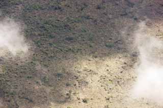 photo, la matire, libre, amnage, dcrivez, photo de la rserve,le de Hawa photographie arienne, Lave, arbre mort, fissurez dans la terre, Dsert