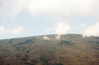 Foto, materiell, befreit, Landschaft, Bild, hat Foto auf Lager,Hawaii-Insel Mauna Loa, Lava, toter Baum, Riss im Boden, Wste