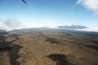 Foto, materieel, vrij, landschap, schilderstuk, bevoorraden foto,Hawaii Eiland luchtfotografie, Lava, Dode boom, Krak in ht gemaald, Woestijn