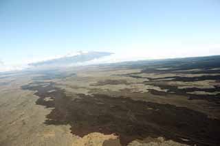 foto,tela,gratis,paisaje,fotografa,idea,Aerofotografa de Hawaii, Lava, rbol muerto, Agritese en el suelo, Desierto