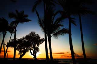 Foto, materiell, befreit, Landschaft, Bild, hat Foto auf Lager,Hawaii Island Beach, , , , 