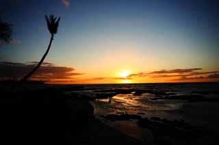 Foto, materieel, vrij, landschap, schilderstuk, bevoorraden foto,Hawaii Island beach, , , , 