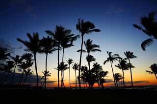 Foto, materiell, befreit, Landschaft, Bild, hat Foto auf Lager,Hawaii Island Beach, , , , 