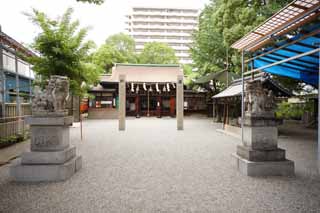 Foto, materieel, vrij, landschap, schilderstuk, bevoorraden foto,Hirota Shrine, , , , 