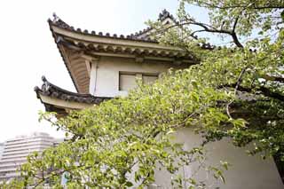 photo,material,free,landscape,picture,stock photo,Creative Commons,Osaka Castle Inuiyagura, , , , 