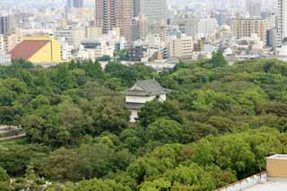 photo,material,free,landscape,picture,stock photo,Creative Commons,Tower of Osaka Castle, , , , 