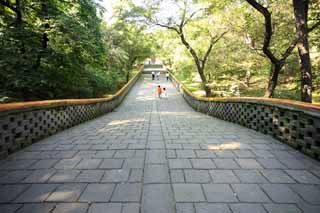 photo,material,free,landscape,picture,stock photo,Creative Commons,Slope of Fuling Tomb Shinto, , , , 