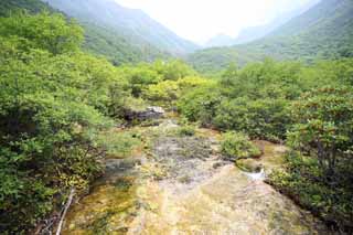 fotografia, materiale, libero il panorama, dipinga, fotografia di scorta,Huanglong, , , , 