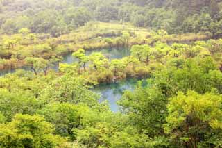 fotografia, materiale, libero il panorama, dipinga, fotografia di scorta,Jiuzhaigou pistola TatsukiTadashi'umi, , , , 