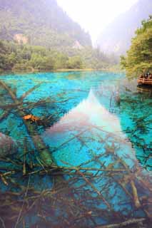 foto,tela,gratis,paisaje,fotografa,idea,De Jiuzhaigou Gohanaumi, , , , 