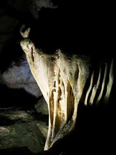 fotografia, materiale, libero il panorama, dipinga, fotografia di scorta,Baia di Halong Tien Kung grotta, , , , 