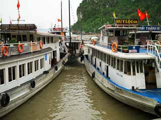 Foto, materieel, vrij, landschap, schilderstuk, bevoorraden foto,Halong Bay Daugo eiland, , , , 