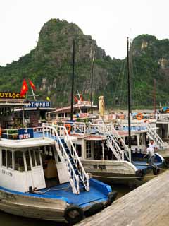 fotografia, materiale, libero il panorama, dipinga, fotografia di scorta,Baia di Halong Daugo Island, , , , 