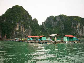 foto,tela,gratis,paisaje,fotografa,idea,Halong Bay casa Martima, , , , 