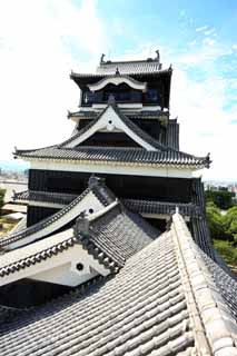 fotografia, materiale, libero il panorama, dipinga, fotografia di scorta,Al Castello di Kumamoto, , , , 