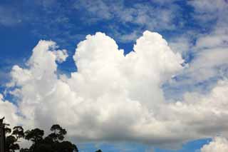 Foto, materieel, vrij, landschap, schilderstuk, bevoorraden foto,Zomer wolken, , , , 