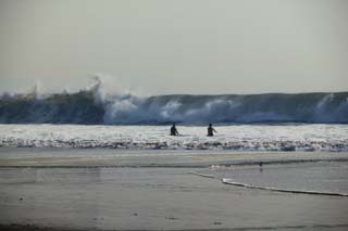 photo, la matire, libre, amnage, dcrivez, photo de la rserve,Grand beachcomber, rivage sablonneux, vague, grandes vagues, plage balnaire