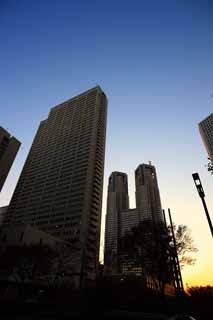 fotografia, materiale, libero il panorama, dipinga, fotografia di scorta,Shinjuku alto edificio di crepuscolo, , , , 