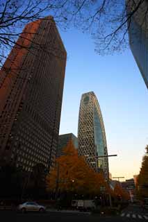 Foto, materiell, befreit, Landschaft, Bild, hat Foto auf Lager,Shinjuku Hochhaus der Dmmerung, , , , 