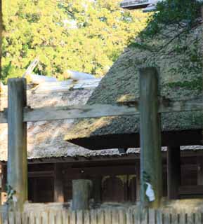 Foto, materieel, vrij, landschap, schilderstuk, bevoorraden foto,Ise Jingu Geku, , , , 