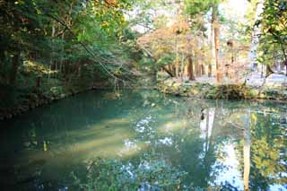 fotografia, materiale, libero il panorama, dipinga, fotografia di scorta,Ise Jingu Geku, , , , 